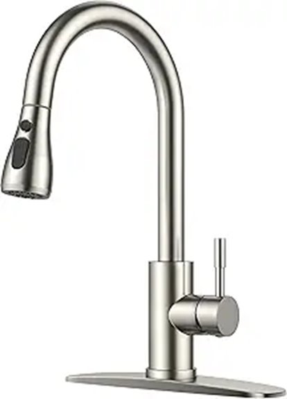 brushed nickel kitchen faucet