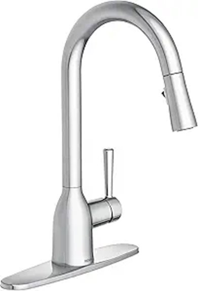 chrome kitchen faucet sprayer
