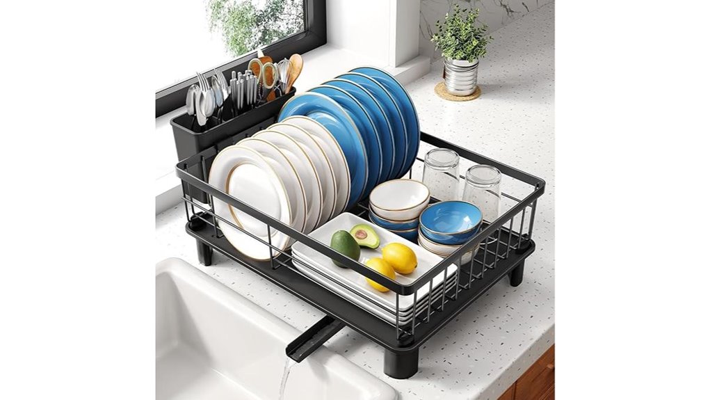 compact black dish rack