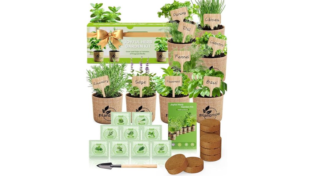 culinary heirloom herb seeds