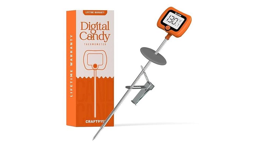digital thermometer with probe