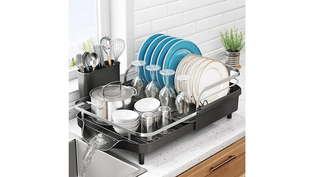 expandable black dish rack