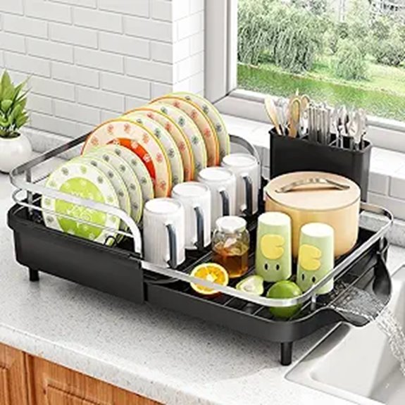 expandable dish drying rack