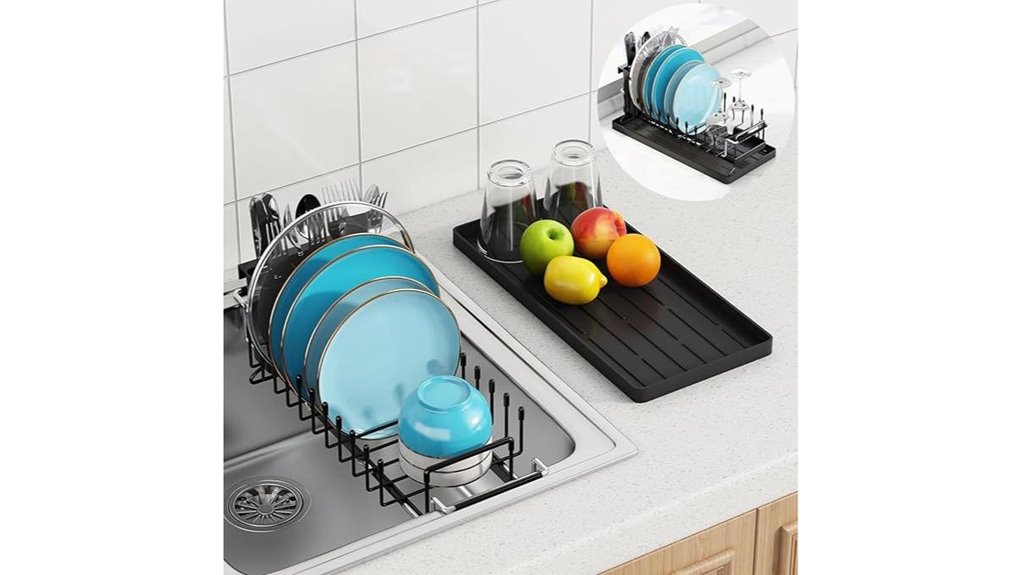 expandable sink dish rack