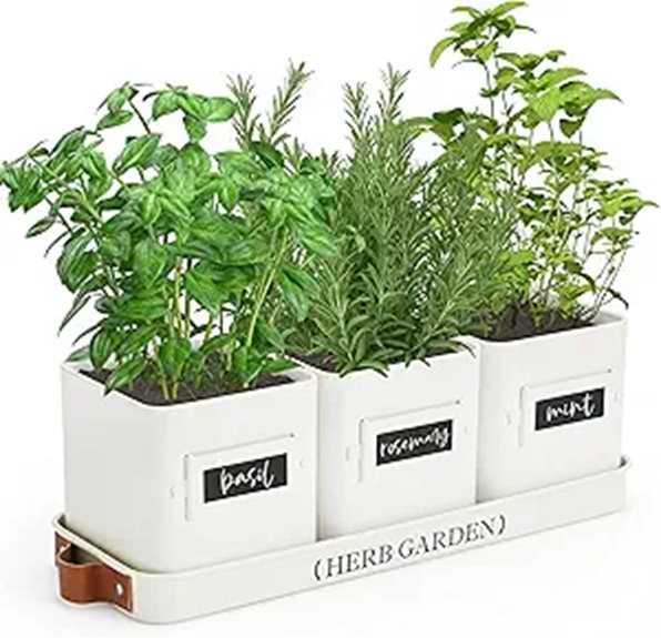 indoor herb garden kit