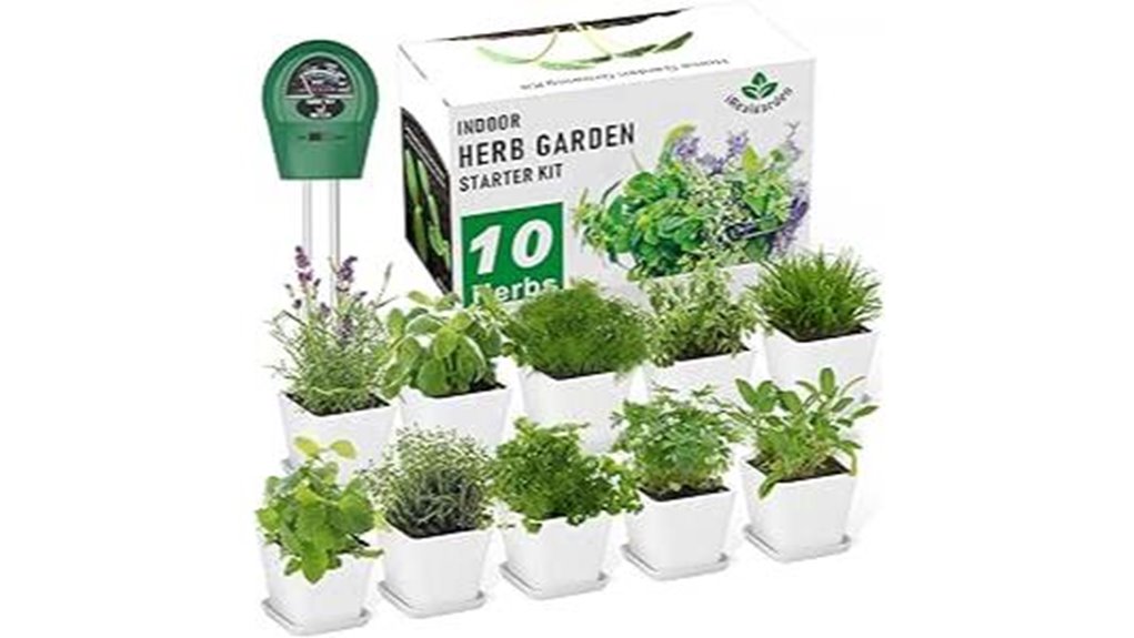 indoor herb gardening kit