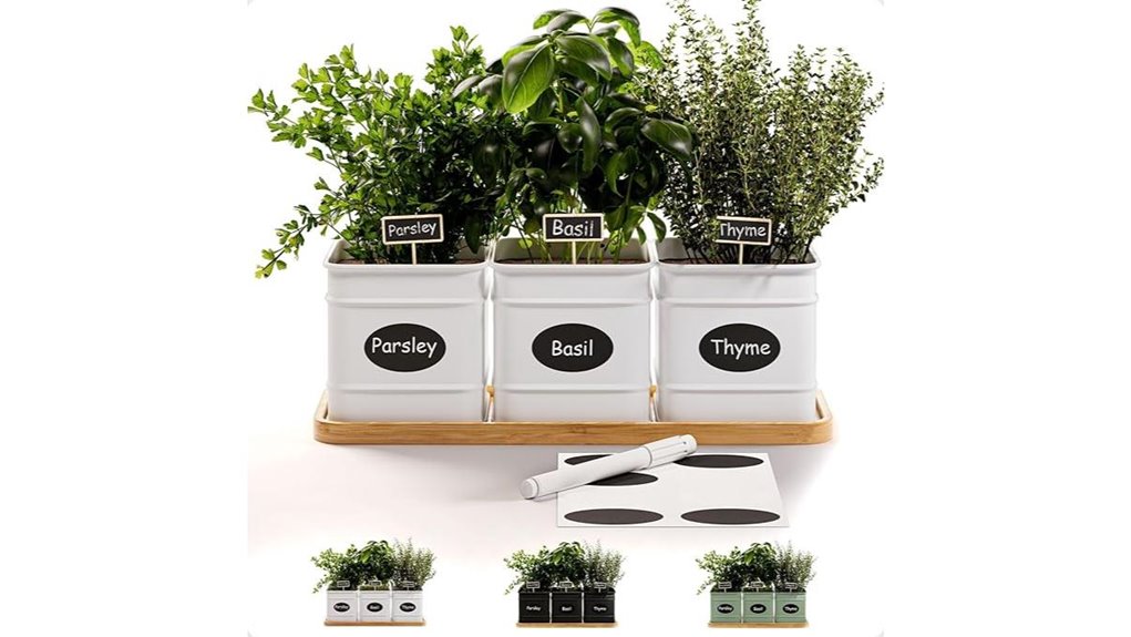 indoor herb planter set