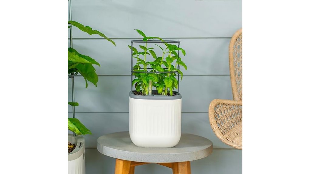 indoor herb planter trellis