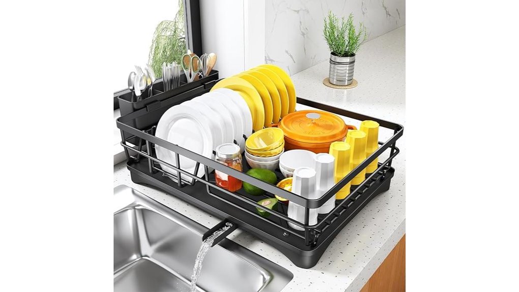 large black dish rack