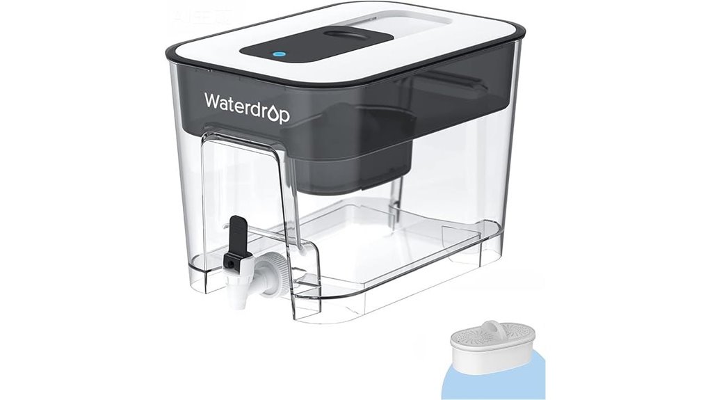 large capacity water filter