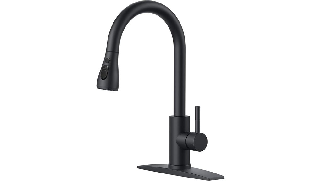 modern black kitchen faucet