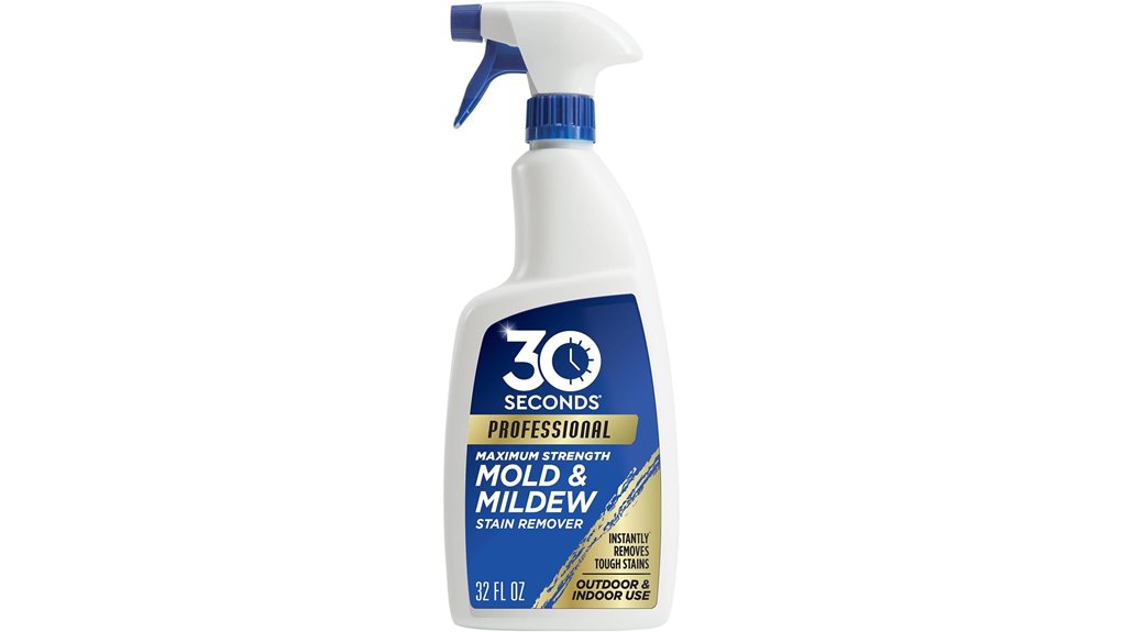 mold stain remover solution