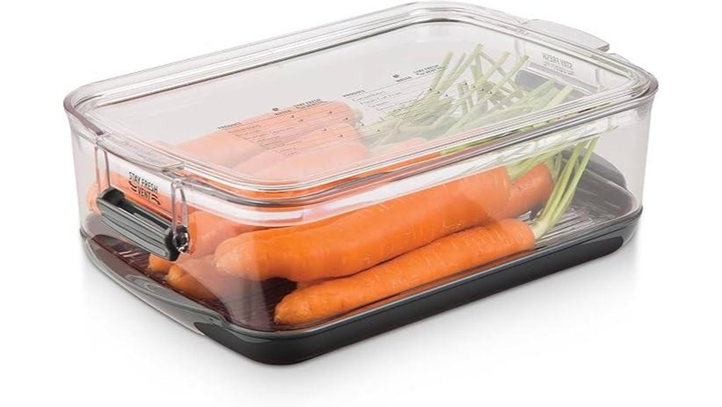 stay fresh food storage container
