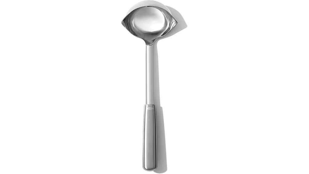 sturdy stainless steel ladle