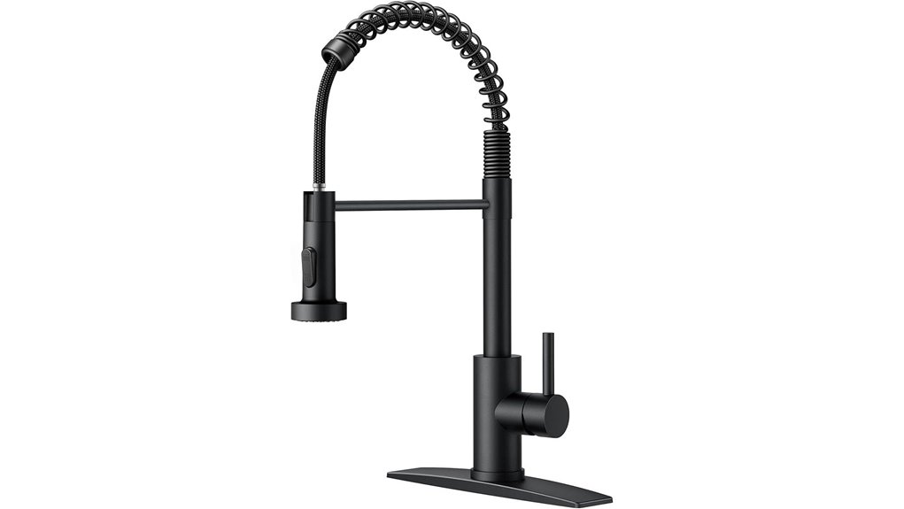 stylish pull down kitchen faucet