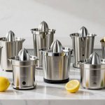 top citrus juicers 2026