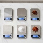top kitchen scales 2026