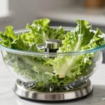 top salad spinners for freshness