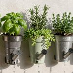 top self watering herb gardens