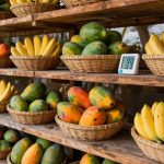 tropical fruit storage tips