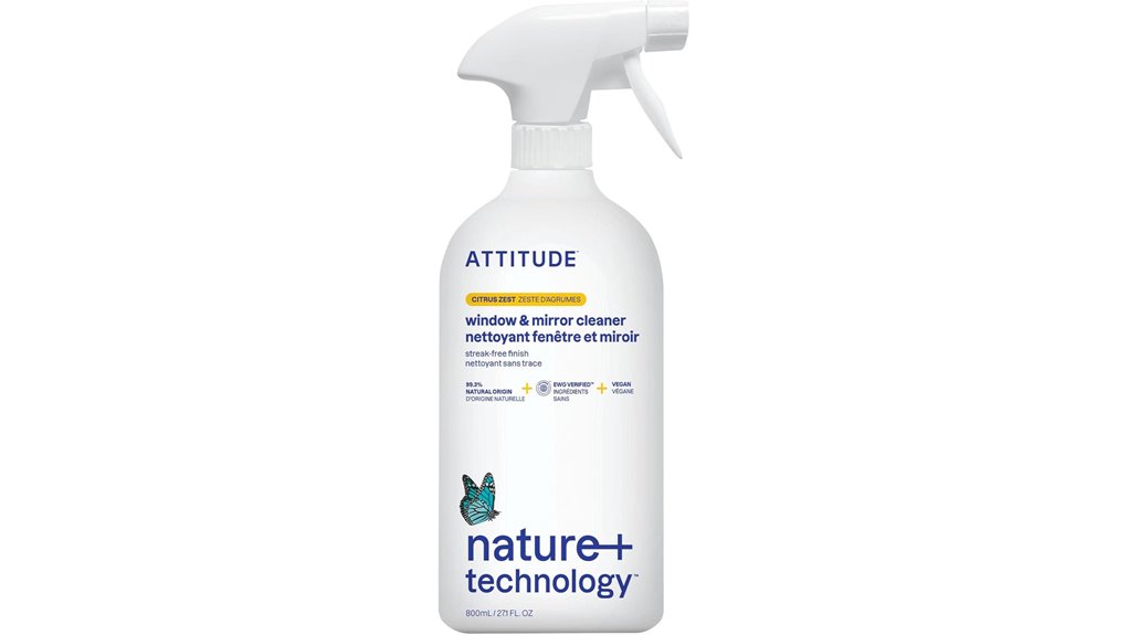 window and mirror cleaner