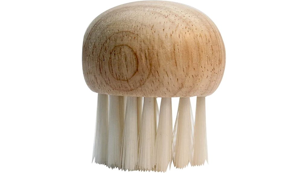 wooden topped mushroom brush